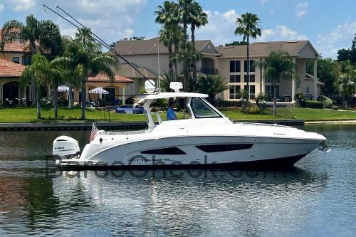 Regal 33 SAV ficha tecnica